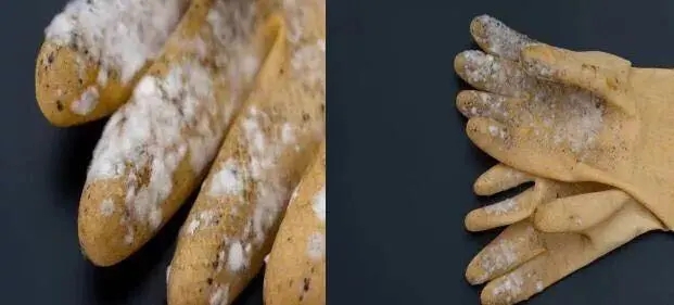 塑膠手套發(fā)霉了怎么辦？工廠必看塑膠手套防霉方案！