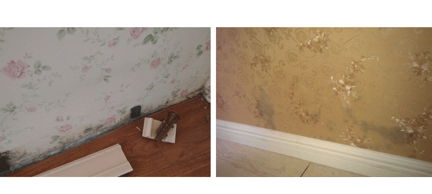 墻紙發(fā)霉 墻紙發(fā)霉