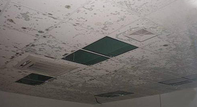 石膏板發(fā)霉 石膏板發(fā)霉