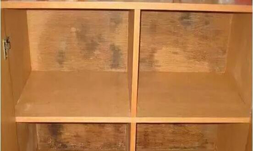 背景墻木板發(fā)霉后怎么處理？