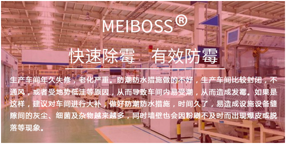生產(chǎn)車間專用除霉劑 生產(chǎn)車間專用除霉劑