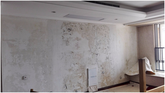 樓盤發(fā)霉 樓盤發(fā)霉