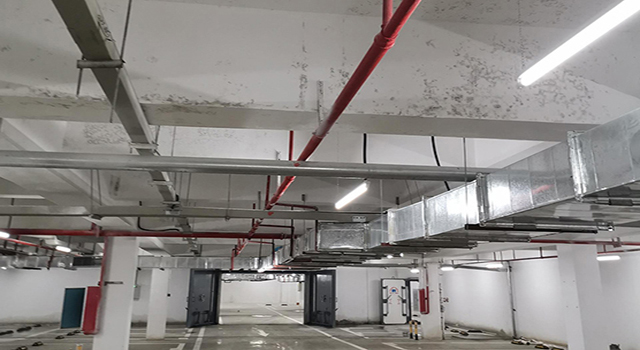 車庫(kù)發(fā)霉情況 車庫(kù)發(fā)霉情況