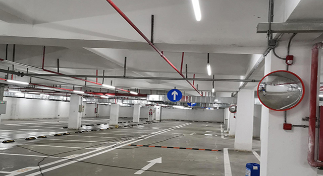 車庫(kù)除霉后 車庫(kù)除霉后