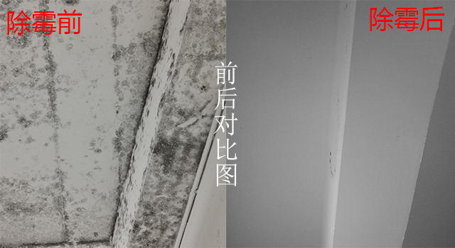 細(xì)節(jié)除霉對(duì)比圖 細(xì)節(jié)除霉對(duì)比圖