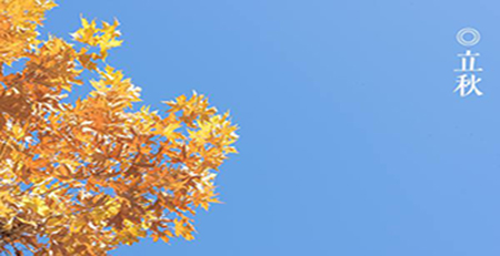 立秋