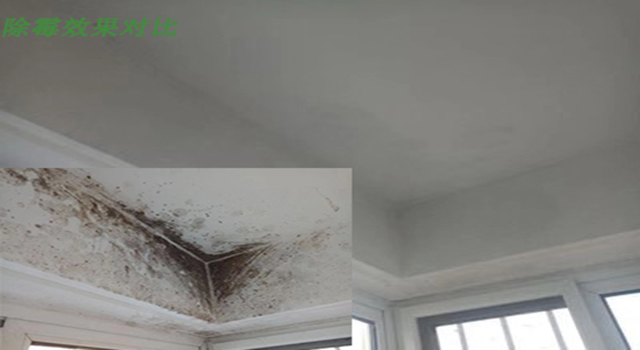 除霉對比圖 除霉對比圖