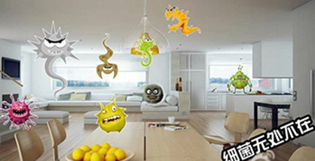 細(xì)菌 細(xì)菌