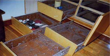 家具發(fā)霉 家具發(fā)霉