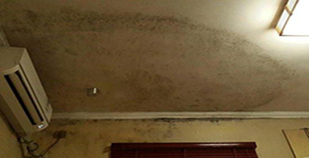 臥室墻面發(fā)霉 臥室墻面發(fā)霉