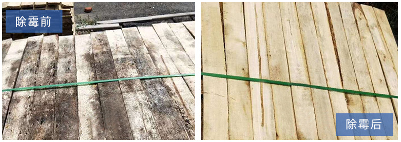 1658220671317593.png 木材發(fā)霉對比圖.png